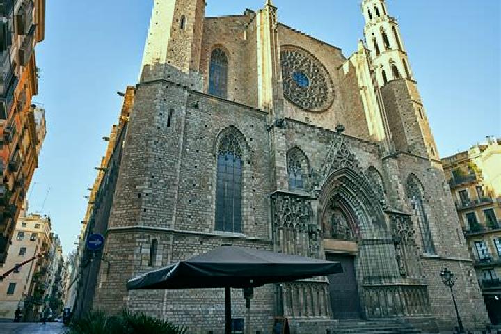 Willow, 20 — Escort in Santa Maria del Val, Spain