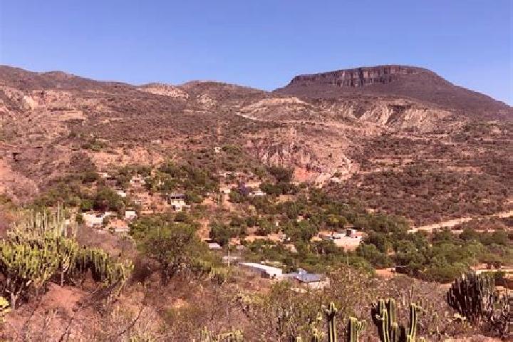 Willow, 20 — Escort in Tatoxcac, Mexico