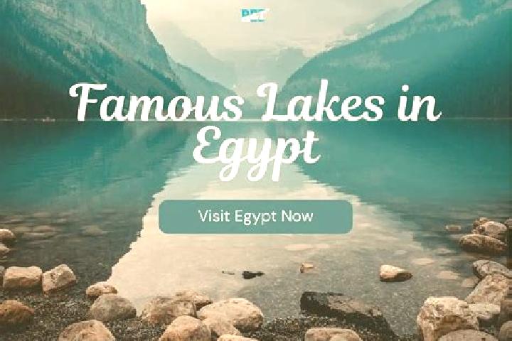 Willow, 20 — Escort in Timayy al Imdid, Egypt