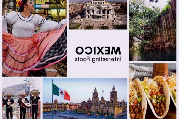 Willow, 20 — Escort in Usipa, Mexico