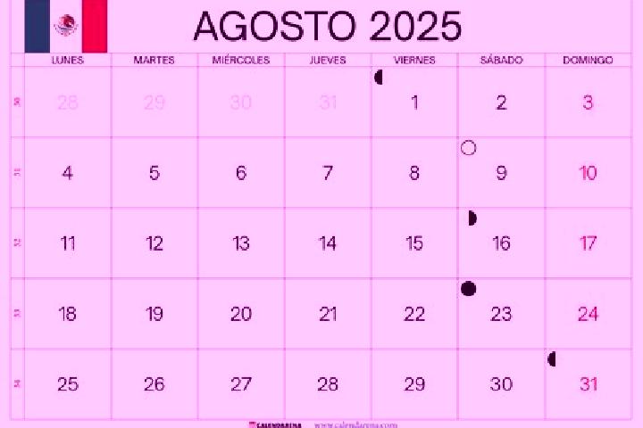 Willow, 20 — Escort in Veintiuno de Agosto, Mexico