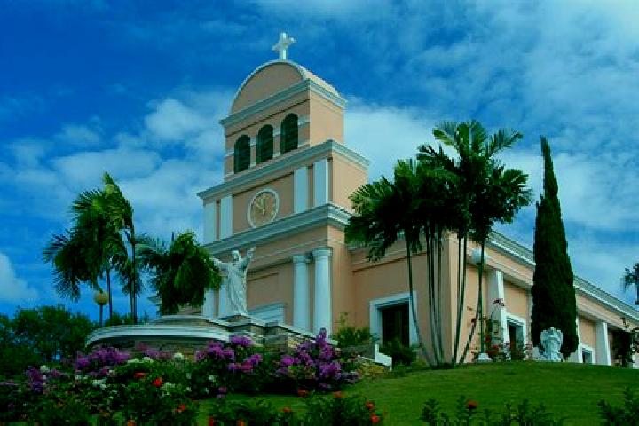 Willow, 21 — Escort in Aguas Buenas, Puerto Rico