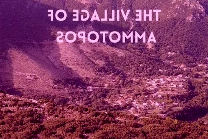 Willow, 21 — Escort in Ammotopos, Greece