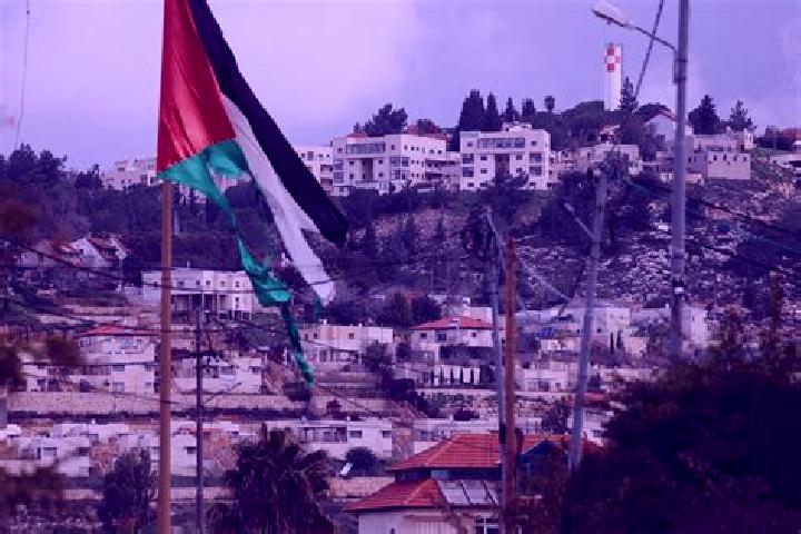 Willow, 21 — Escort in Ash Shuyukh, Palestine
