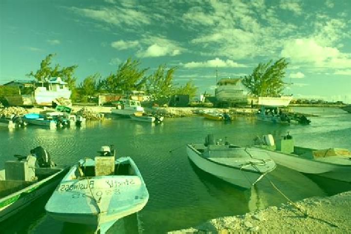 Willow, 21 — Escort in Cockburn Harbour, Turks and Caicos Islands