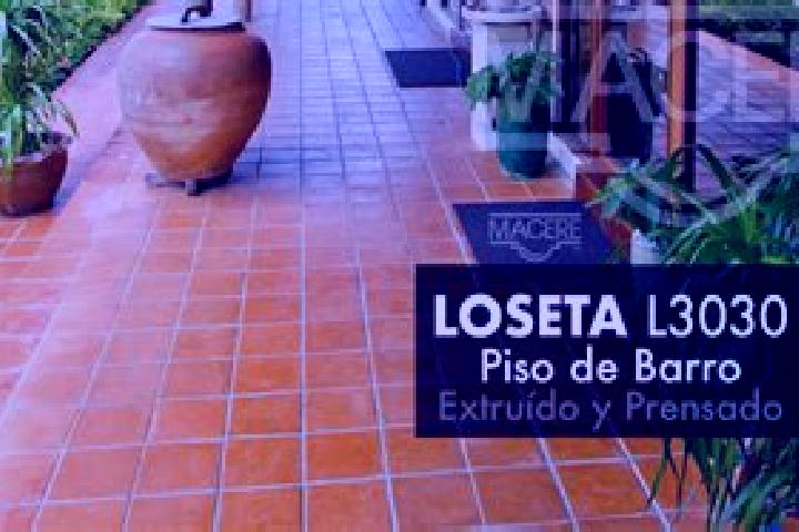 Willow, 21 — Escort in El Chote, Mexico