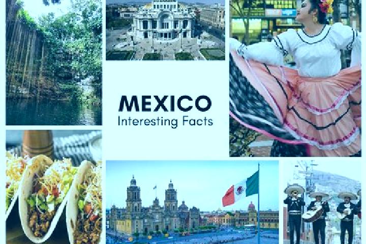 Willow, 21 — Escort in Enandio, Mexico