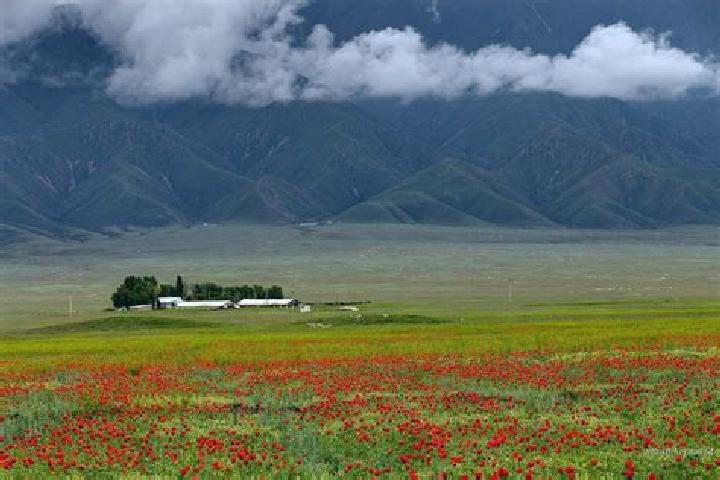 Willow, 21 — Escort in Novaya Bukhtarma, Kazakhstan