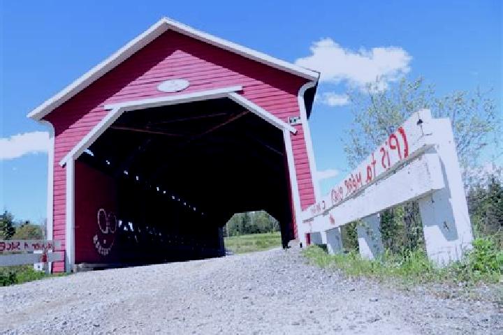 Willow, 21 — Escort in Sainte-Jeanne-d Arc, Canada