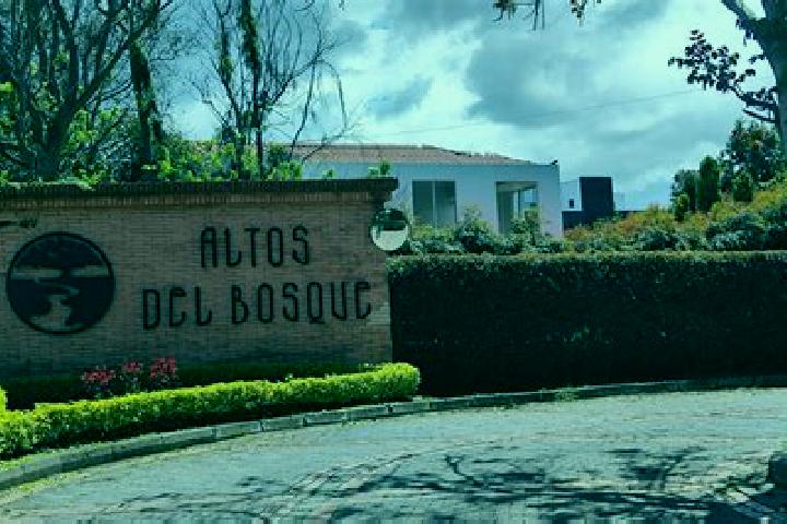 Willow, 21 — Escort in San Isidro del Bosque, Mexico