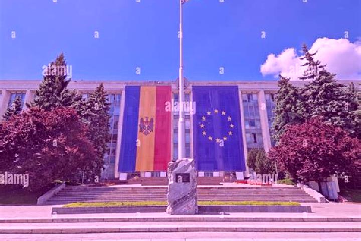 Willow, 21 — Escort in Tarigrad, Moldova