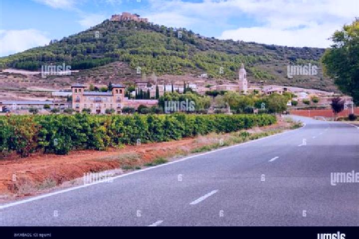 Willow, 21 — Escort in Villamayor de Monjardin, Spain