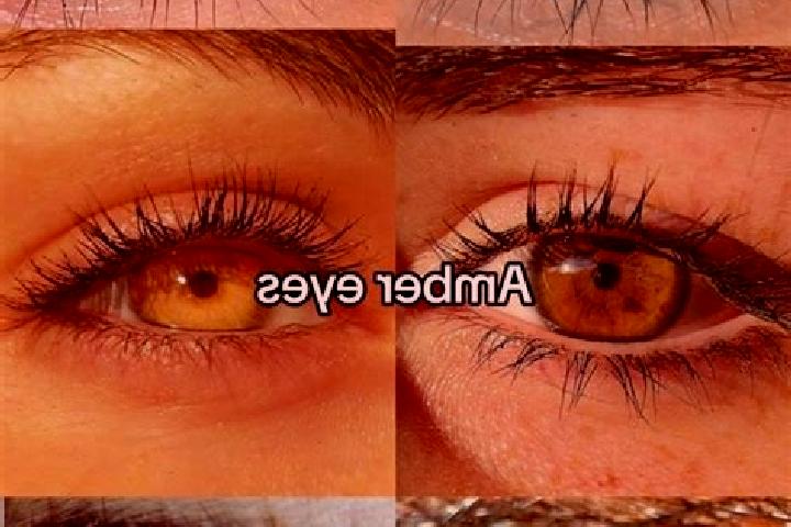Willow, 22, a brunette amber-eyed middle eastern companion based in Loedersdorf. Offering Tantra, Massage, Girlfriend Experience. Available for incall and ou...