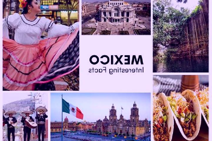Willow, 22 — Escort in Balsa Larga, Mexico