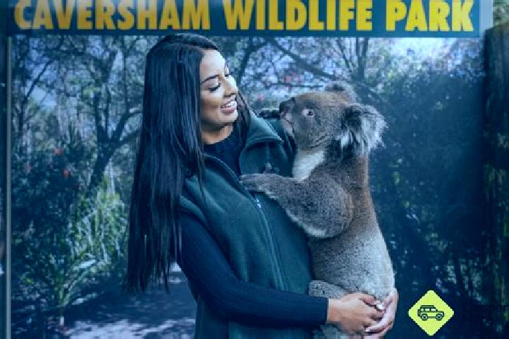 Willow, 22 — Escort in Caversham, New Zealand