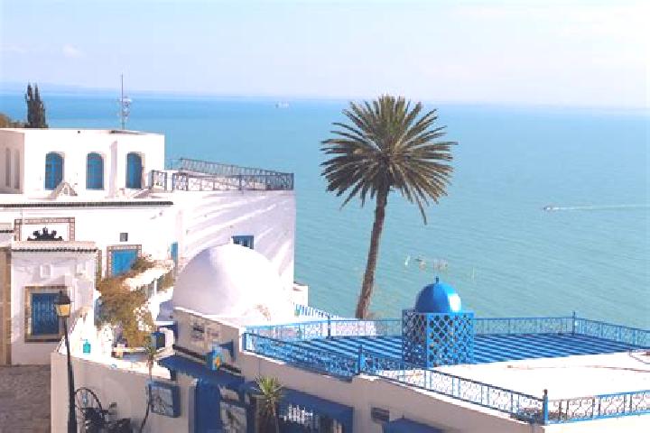 Willow, 22 — Escort in Jedeida, Tunisia