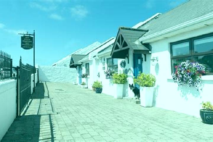 Willow, 22 — Escort in Kilpedder, Ireland