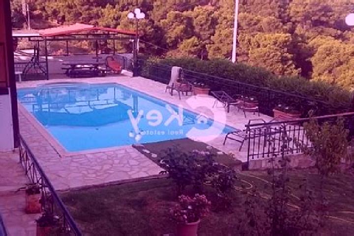 Willow, 22 — Escort in Kouvaras, Greece