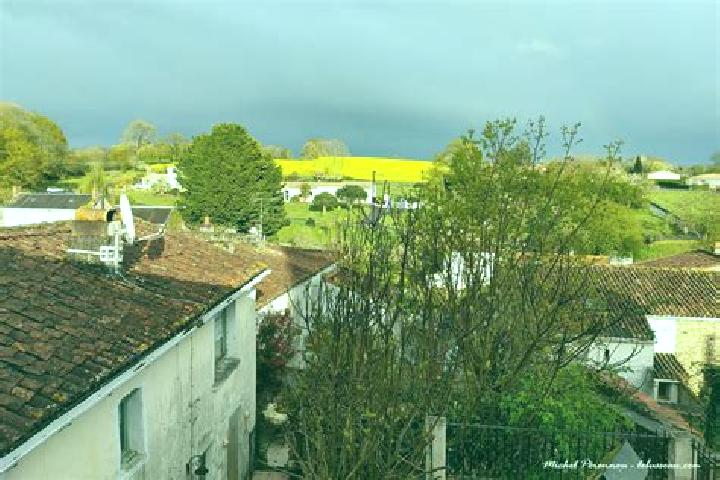 Willow, 22 — Escort in Le Busseau, France