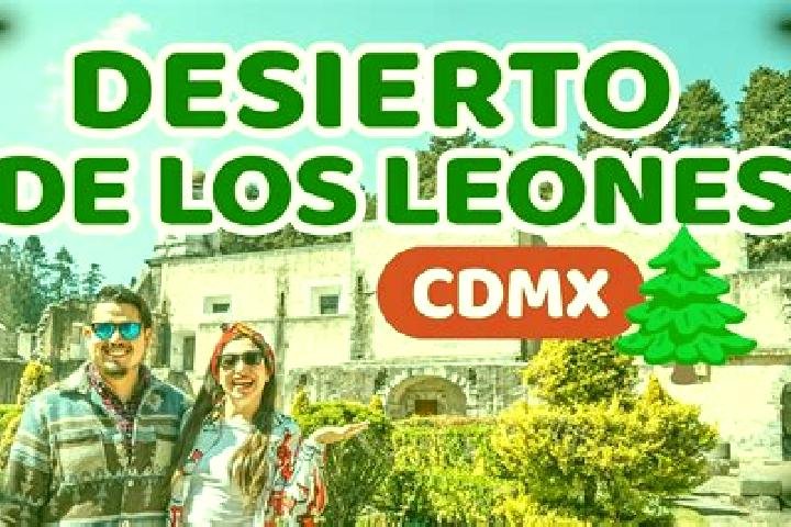 Willow, 22 — Escort in Mesa de los Leones, Mexico