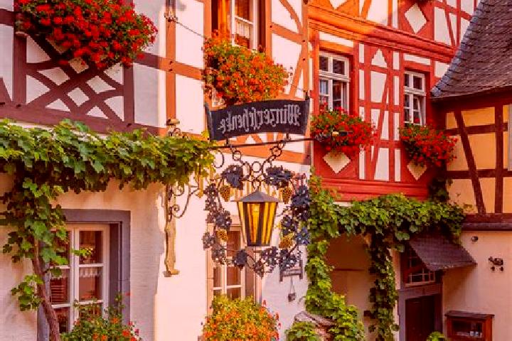 Willow, 22 — Escort in Mittelfischbach, Germany