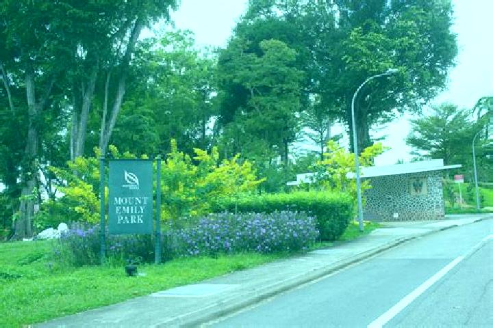 Willow, 22 — Escort in Mount Emily Park, Singapore
