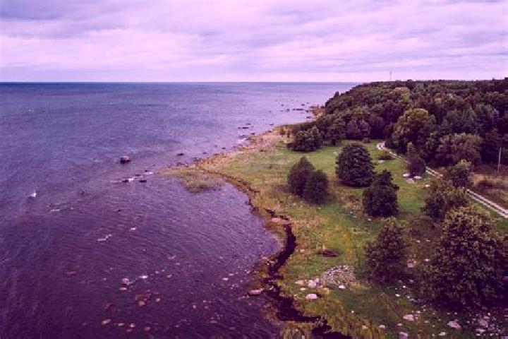 Willow, 22 — Escort in Pirita, Estonia