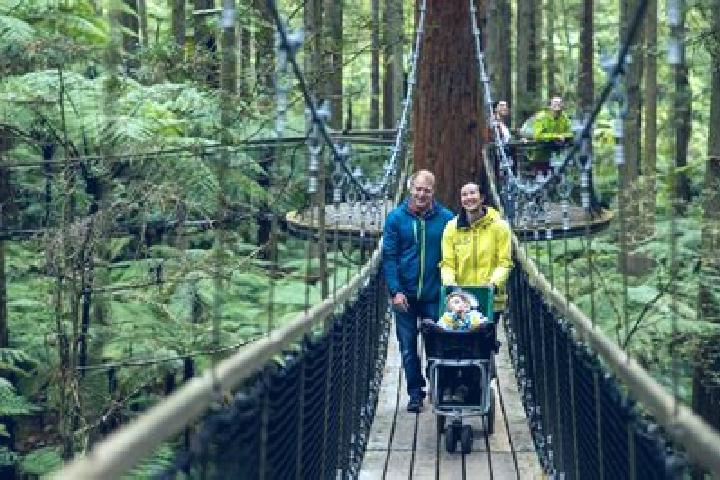 Willow, 22 — Escort in Redwood, New Zealand