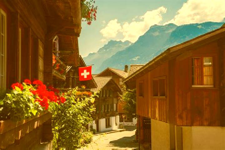 Willow, 22 — Escort in Salmsach, Switzerland