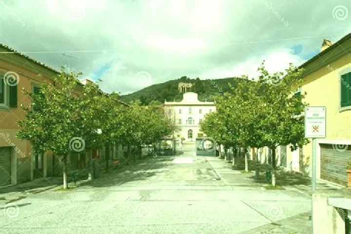 Willow, 22 — Escort in San Giuliano Vecchio, Italy