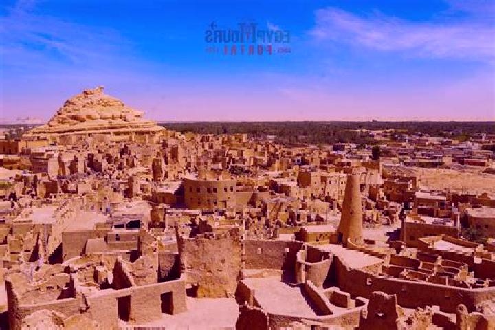 Willow, 22 — Escort in Siwah, Egypt