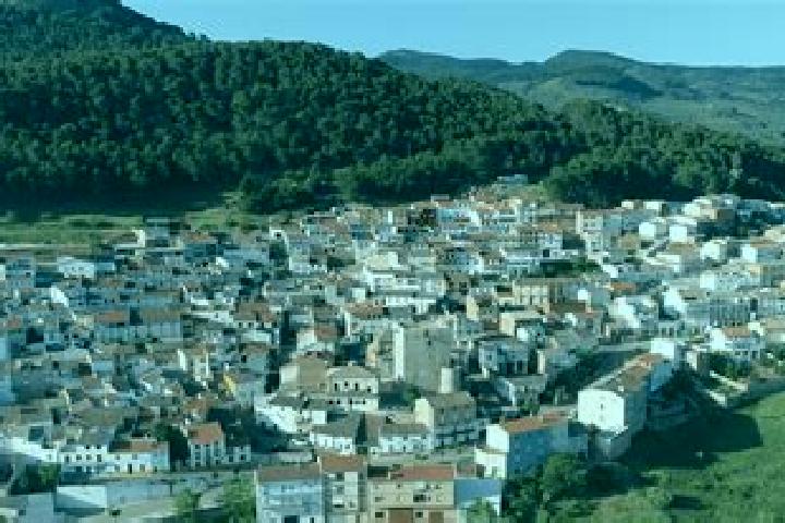 Willow, 22 — Escort in Torres de Albanchez, Spain