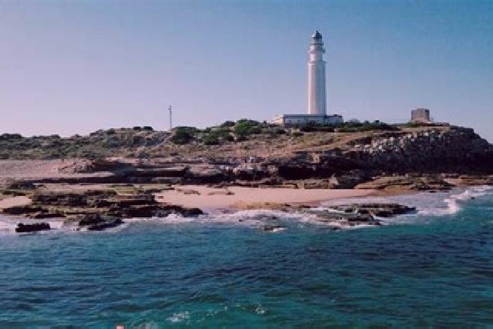 Willow, 22 — Escort in Trafalgar, Spain