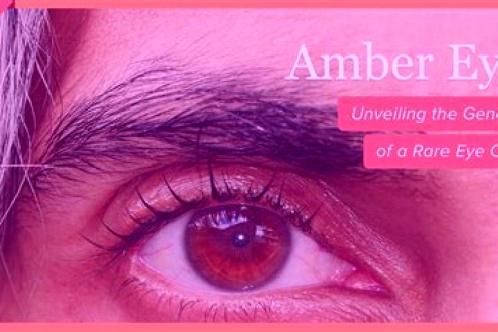 Willow, 23, a black amber-eyed caucasian companion based in Shibli-Umm al-Ghanam. Offering Striptease, Girlfriend Experience, Deep French Kissing, Dinner Dat...