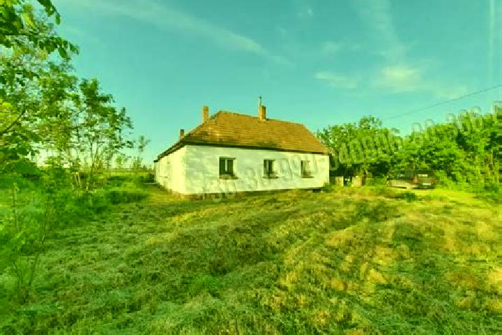 Willow, 23 — Escort in Delegyhaza, Hungary