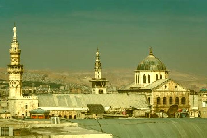 Willow, 23 — Escort in El Mazra a, Israel