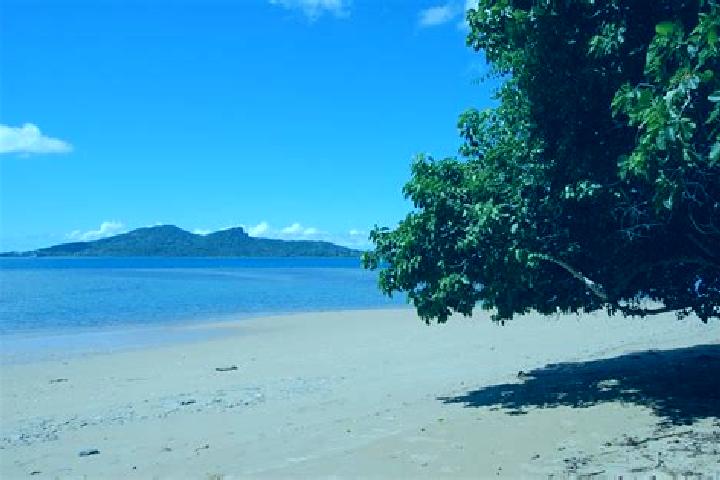 Willow, 23 — Escort in Kani-Keli, Mayotte