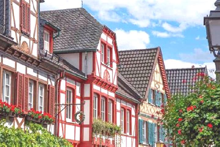 Willow, 23 — Escort in Lauffen am Neckar, Germany