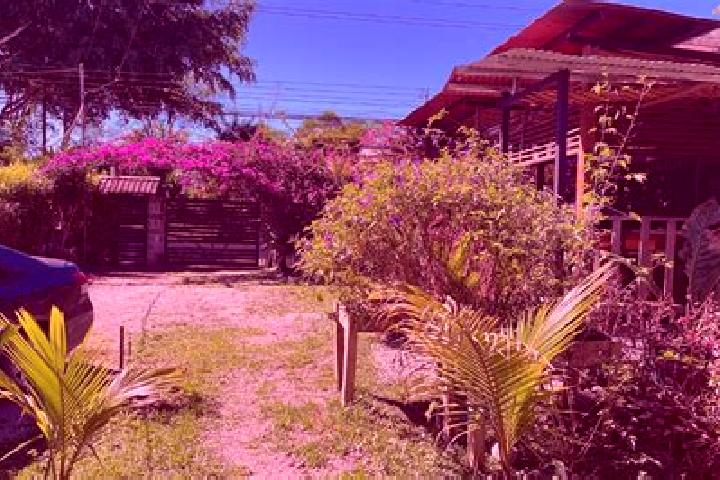 Willow, 23 — Escort in Sabalito, Costa Rica