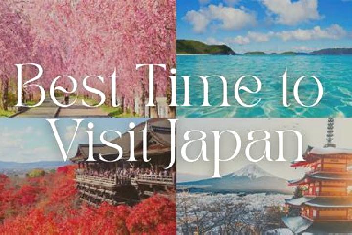 Willow, 23 — Escort in Sado, Japan