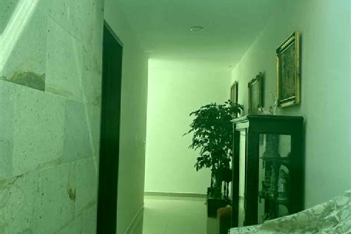Willow, 23 — Escort in Villas de Irapuato, Mexico