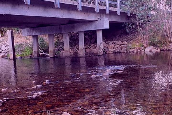 Willow, 23 — Escort in Whitfield, Australia
