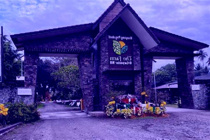 Willow, 24 — Escort in Carpenter Hill, Philippines