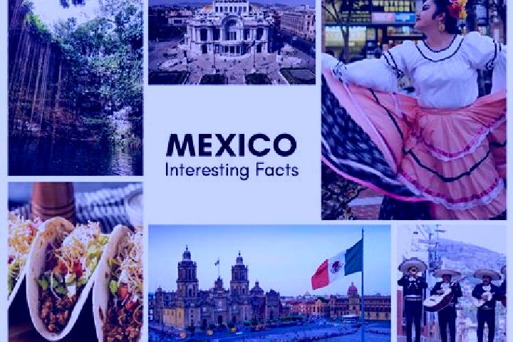 Willow, 24 — Escort in Cuparataro, Mexico