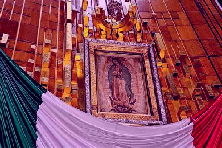 Willow, 24 — Escort in Guadalupe de los Sauces, Mexico