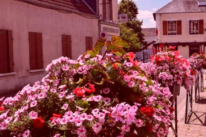 Willow, 24 — Escort in Les Essarts-le-Roi, France