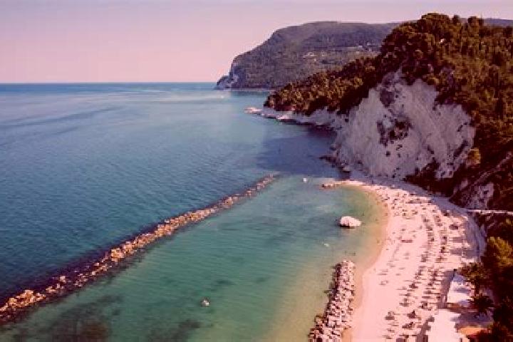 Willow, 24 — Escort in Marina di Montemarciano, Italy