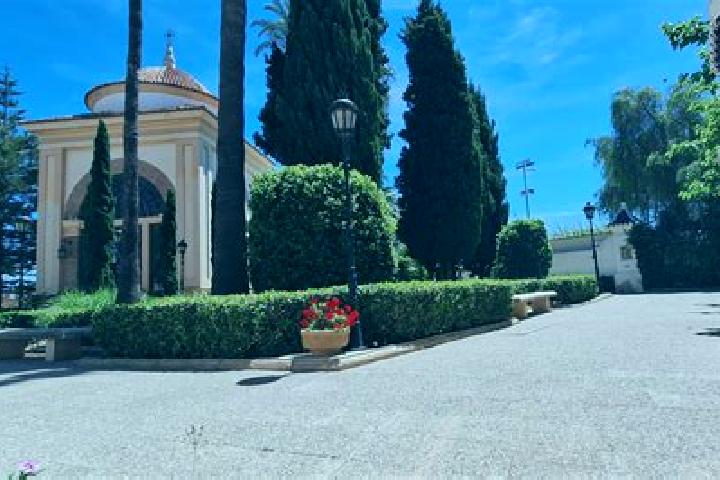 Willow, 24 — Escort in Meliana, Spain