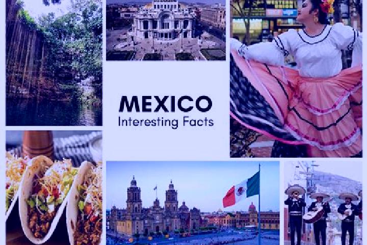 Willow, 24 — Escort in Monte Prieto, Mexico