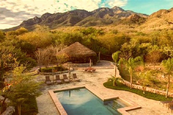Willow, 24 — Escort in San Juan de Razos, Mexico
